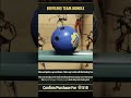 FO76 Dailies Update 2/3/26 - Sweetie Edition