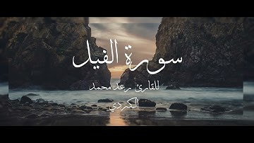 سورة الفيل - محمد رعد الكردي - القران الكريم