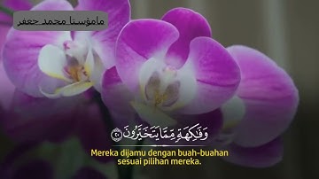 مامۆستا محمد جعفر  سورة الواقعة