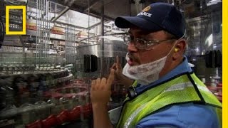 Bottling Bacardi | Ulitmate Factories