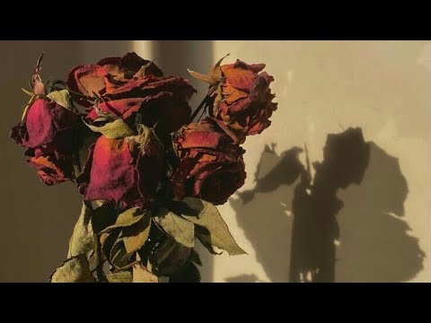 Billie Eilish BITTERSUITE Amplified Background Vocals