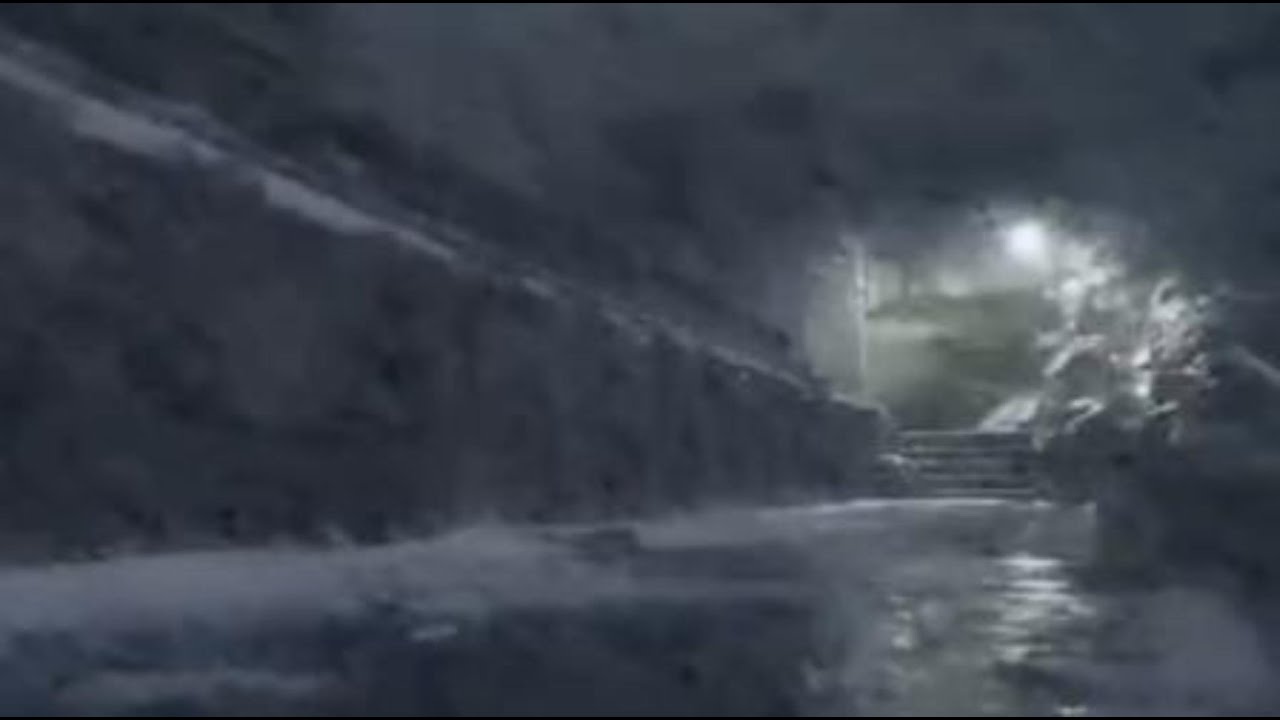 Sleep All Night ❄️ Snowstorm White Noise for Sleeping (11 Hours)