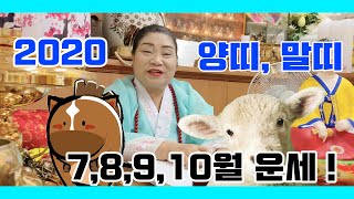 경자년 양띠, 말띠 하반기 운세! 양띠,말띠는 꼭 보세요~