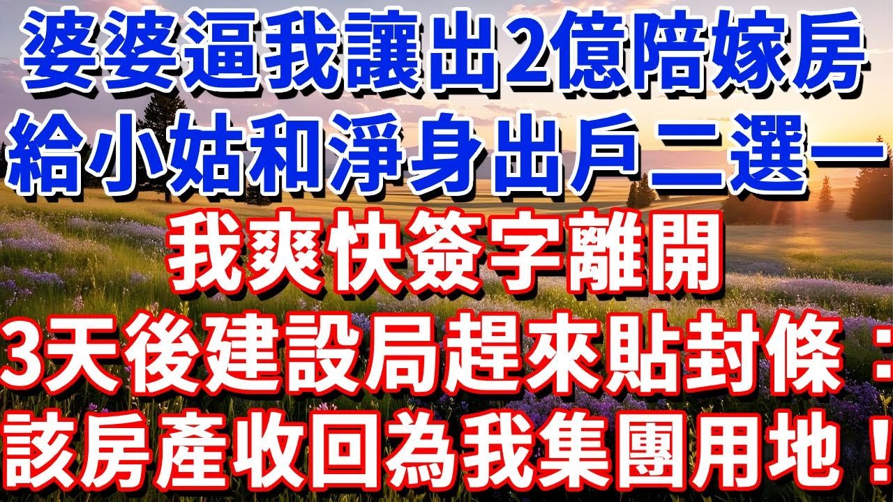 婆婆逼我讓出2億陪嫁房給小姑和淨身出戶二選一，我爽快簽字離開，3天後建設局趕來貼封條：該房產收回為我集團用地！#小魚故事會#為人處世#人生感悟#中老年生活#心靈感悟