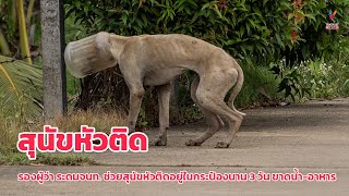 ตราด ทุกชีวิตมีค่า! รองผู้ว่า ระดมจนท. ช่วยเหลือสุนัขหัวติดอยู่ในกระป๋องนาน 3 วัน ขาดน้ำอาหารผอมโซ