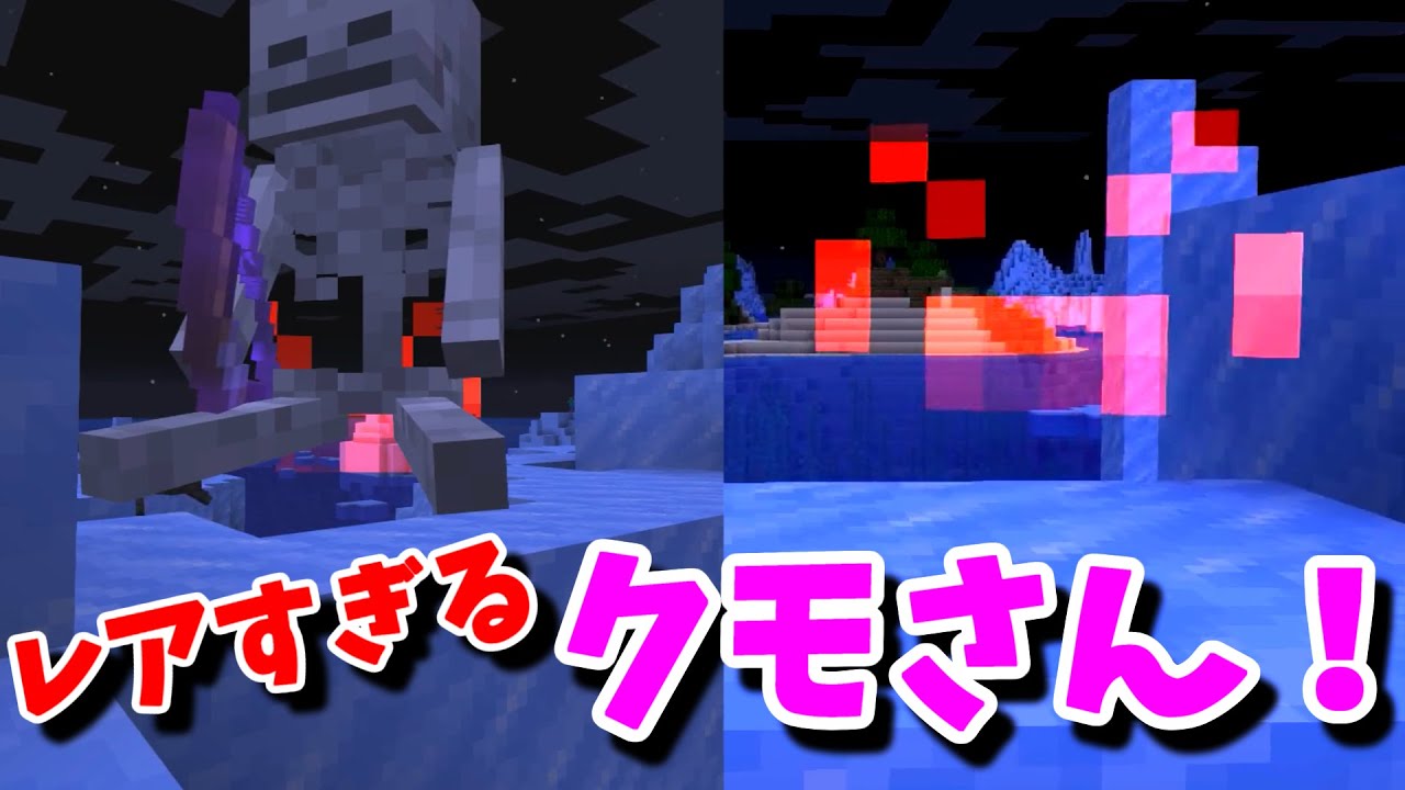 マイクラ 透明クモさんを見たい と思ったらもっとレアなのが出た Minecraft ドクターナバの研究所