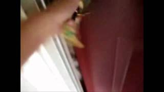 Greeters Intro Video.mov