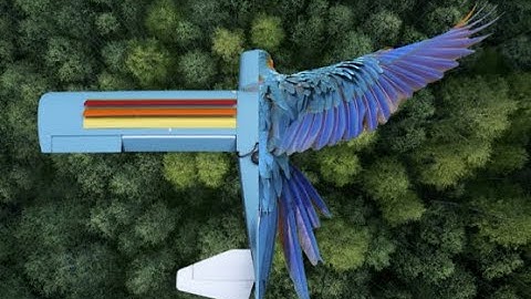 Distributed Feather-Inspired Flow Control