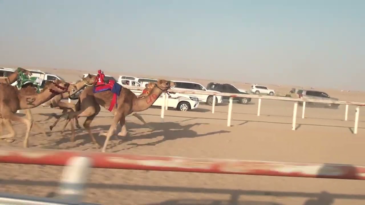 التزام ل صقر بن سلوم الجنيبي