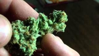 Witches weed!