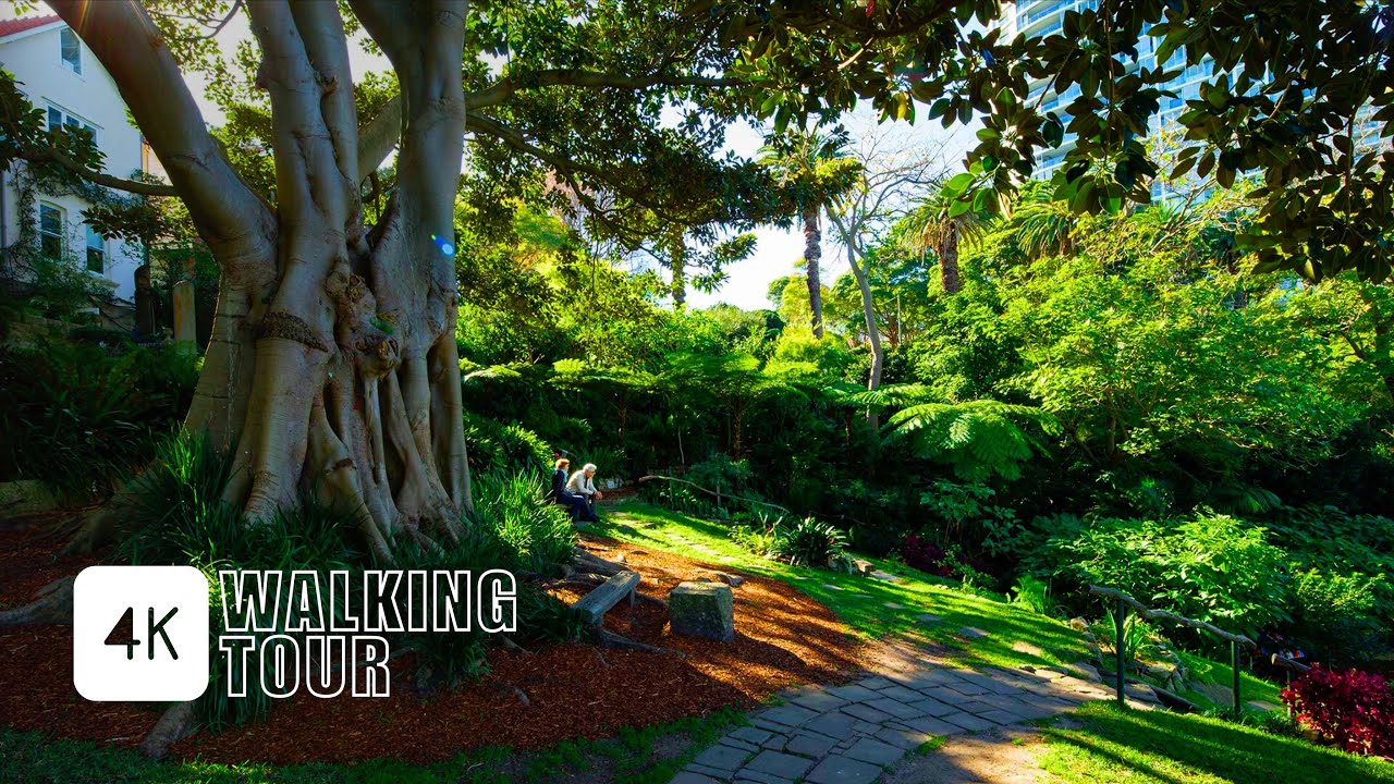 Sydney Australia: Secret Garden & Harbour - Walking Tour | 4K