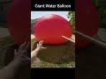 Giant Growing Water Balloon #shorts