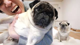 【雑談】ヒカキン炎上、スバル電気自動車、エアリアル新作、収益化停止、サカナクション、嵐