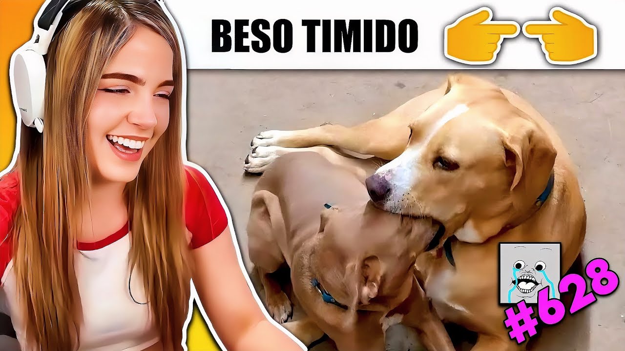 Staryuuki Reacciona a MEMES RANDOM #628