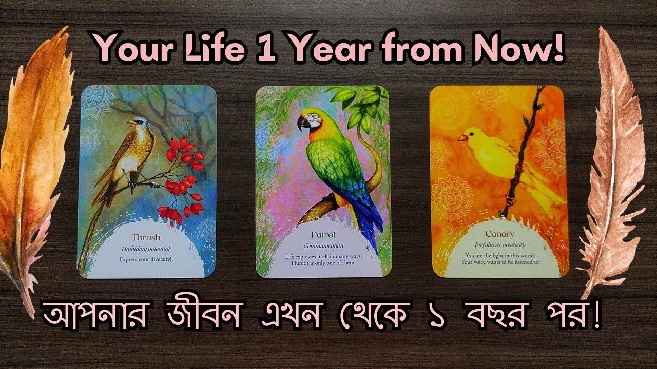Apnar Jibon Ekhon Theke 1 Bochhor Por 💃👑👒 | Timeless Tarot Reading