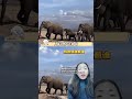 The whole world knows Chinese people are on vacation