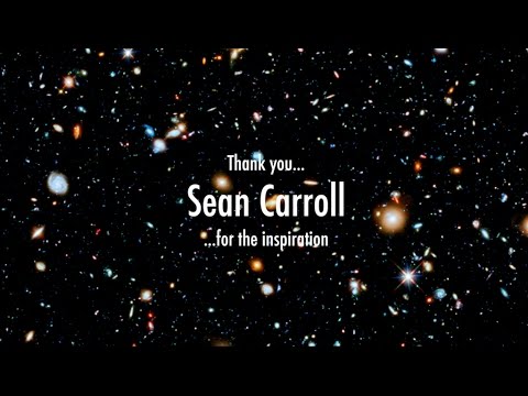 SEAN CARROLL - The Meaning of Life