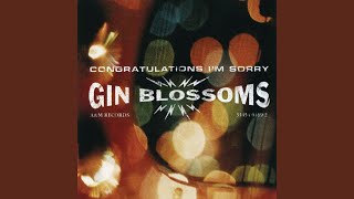 Video thumbnail of "Gin Blossoms - Follow You Down"