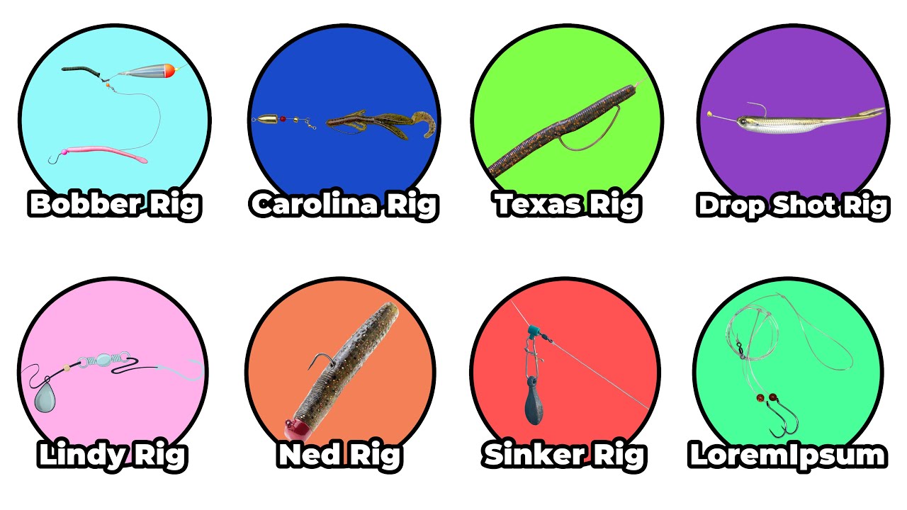 Best Rigs For Every Fishing Trip Explained - YouTube
