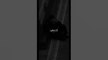 عبدالرحمن مسعد | سورة العنكبوت آية ٥١-٥٢