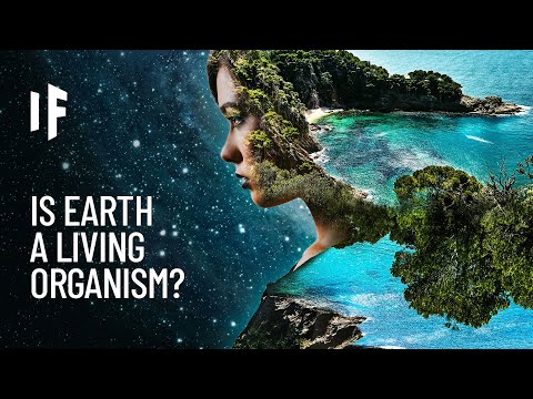 Video: The Earth Is A Living Being - Alternative View