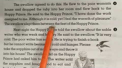 Class 6th Translation Lesson 13 - Part 2 of 3 - A Happy Prince - Teach Online Punjab Text Book Board