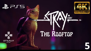 STRAY | Rooftops | Chapter 5 (PS5 Gameplay Walkthrough) [4K UHD 60FPS] | 1.25x | English/Tamil