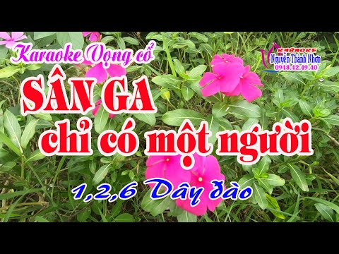 Karaoke vọng cổ SÂN GA CHỈ CÓ MỘT NGƯỜI - DÂY ĐÀO [VC 1,2,6]