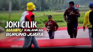 Joki Kecil Pembawa Hoki Pates