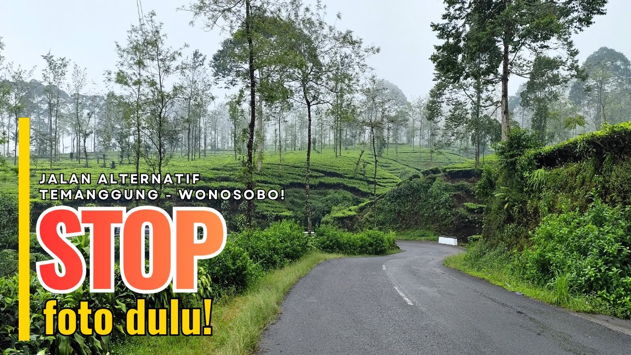 SIAPA SANGKA! Bikin Berpaling dari Jalur Utama | Jalan Alternatif Temanggung - Wonosobo