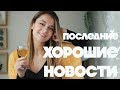 Подвох в Фантастических тварях! Полунин, Навальный и ХОРОШИЕ НОВОСТИ!