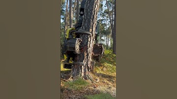 Technological innovations in forestry : John deere attack #harvester #johndeere #forest #viralvideo