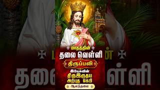 🔴✠இயேசுவின் திரு இருதய அற்புதக் கெபி திருத்தலம் ஆலந்தலை 98வது ஆண்டு பெருவிழா  திருப்பலி Day 7