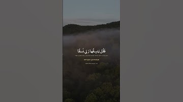 هيثم الدخين | سورة طه
