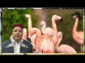 سورة الكوثر سورة قالون عن نافع المدني الشيخ منير السليتي سورة الكوثر سورة قالون عن نافع المدني الشيخ منير السليتي