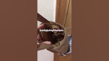 Túi vải xách tay phối Nâu đất Xanh rêu dây rút gọn nhẹ vải canvas chống trầy xước TÚI MỘC