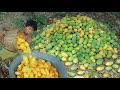 Life In Jungle Find Fruits are food - cooking Recipes Mango