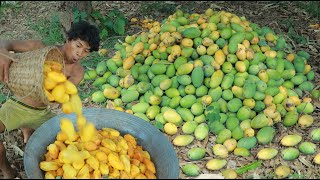 Life In Jungle Find Fruits are food - cooking Recipes Mango