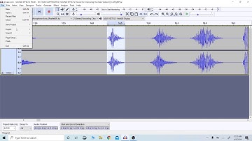 Best way to make short clips in Audacity