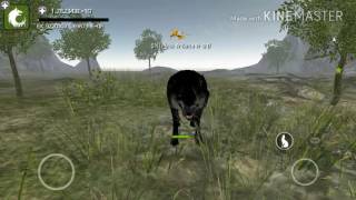 Lvl code for Wolf Online
