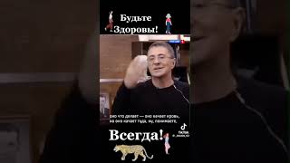8 июня 2024 г.