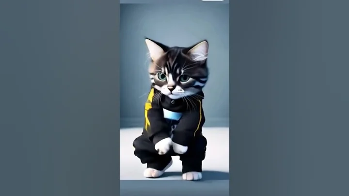 Video 9623131: cats kitten catlover pets, kitten catlover pets cute, kitten catlover pets funny, dance cute catlover pets