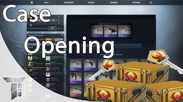 CS:GO - Case Opening / Please Gaben