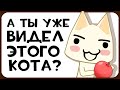 Самый Человечный Кот - Toro Inoue