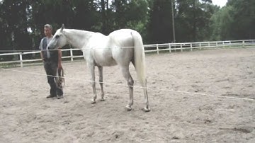 When are we most developed? (Piet Nibbelink)