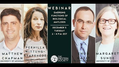 Emerging Functions of Biological Amyloids