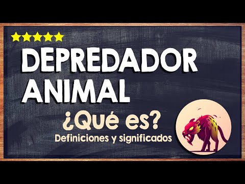 🦁 ¿Qué es un depredador animal? - Aprende sobre el eslabón más fuerte de la cadena alimenticia 🦁