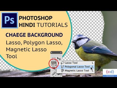 Photoshop Tutorial EP- || Image background change in Photoshop (Lasso Tool) Photoshop Tutorial EP- || Image background change in Photoshop (Lasso Tool)