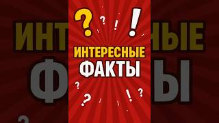 Мантис-креветка – удивительный зверь с супер-глазами