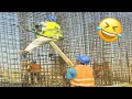 Best Funny Videos Compilation 🤣 - Hilarious People